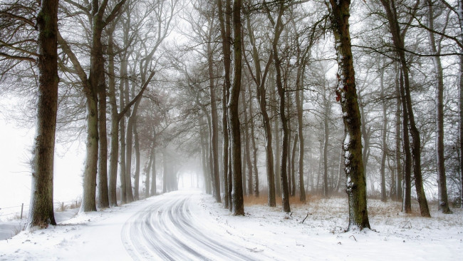 Обои картинки фото природа, дороги, деревья, зима, снег