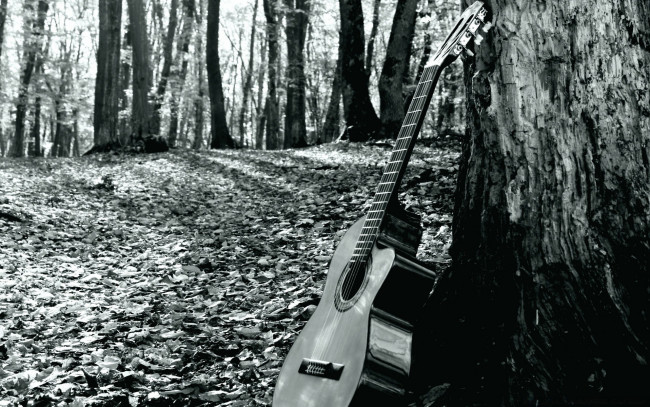Обои картинки фото музыка, -музыкальные инструменты, деревья, гитара, природа
