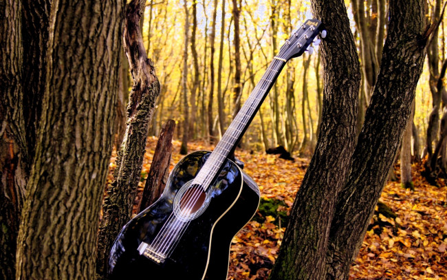 Обои картинки фото музыка, -музыкальные инструменты, природа, деревья, гитара