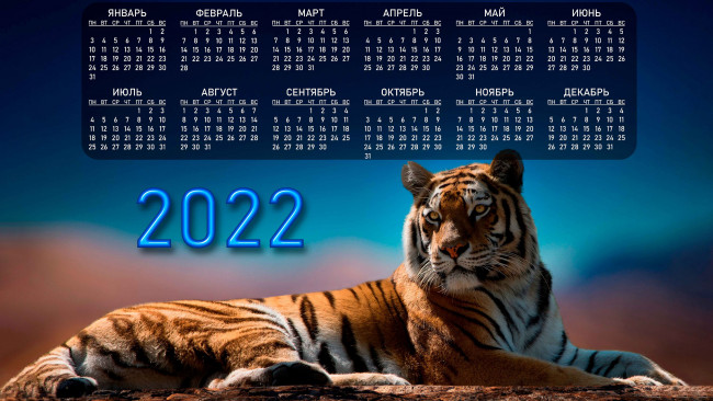 Обои картинки фото календари, животные, год, тигра