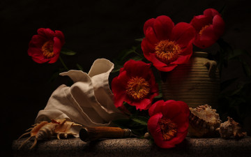 Картинка цветы пионы композиция красные ракушки
