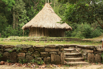 Картинка tayrona national park колумбия природа парк