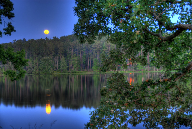 Обои картинки фото природа, реки, озера, деревья, лес, вода, ночь, луна