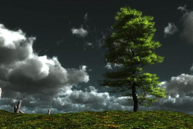 Обои картинки фото almost, dark, 3д, графика, nature, landscape, природа, пригорок, дерево, облака