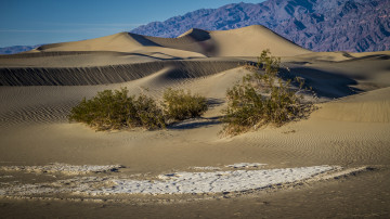 Картинка природа пустыни пустыня барханы песок