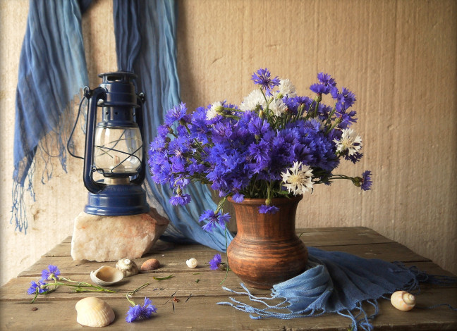 Обои картинки фото цветы, васильки, лампа, кувшин