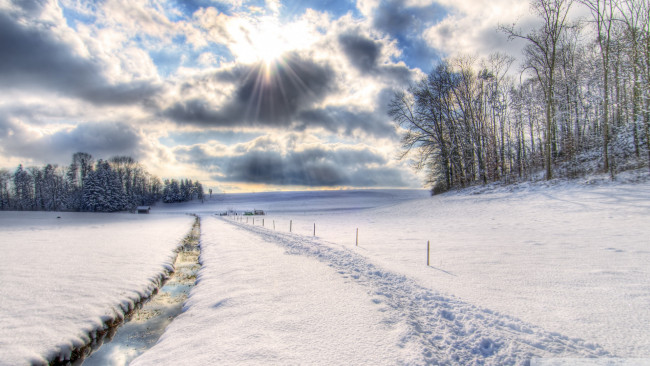 Обои картинки фото природа, зима, ручей, тропинка, снег, деревья