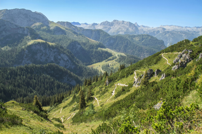 Обои картинки фото природа, горы, германия, бавария, лес
