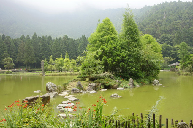 Обои картинки фото тайвань, природа, парк, кусты, деревья, пруд