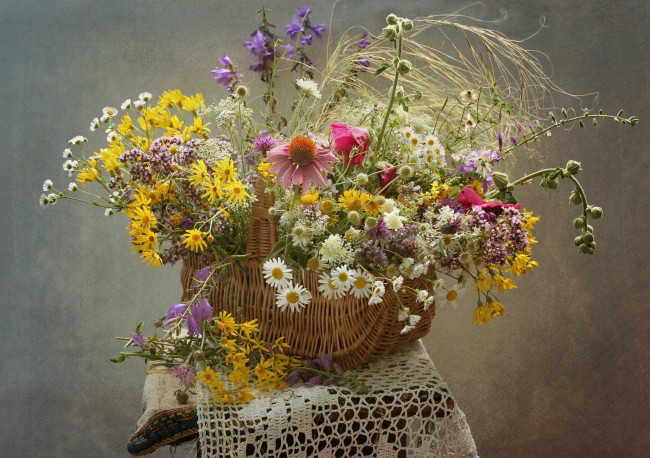Обои картинки фото цветы, луговые , полевые,  цветы, эхинацея, корзина, ромашки