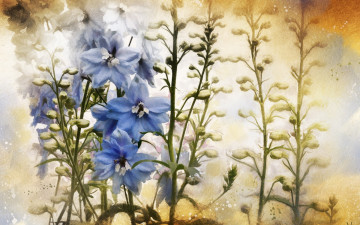 Картинка разное текстуры текстура цветы