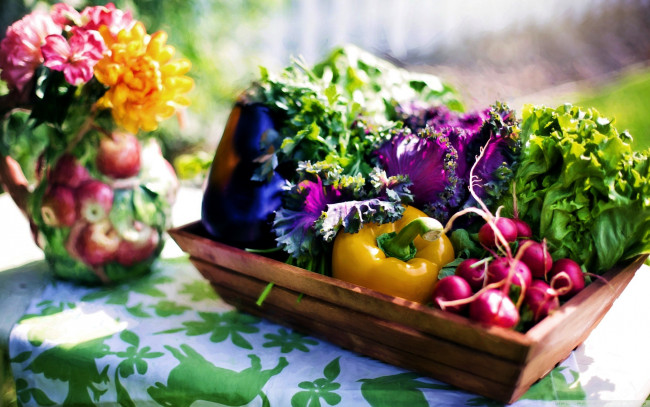 Обои картинки фото еда, овощи, редис, перец, салат
