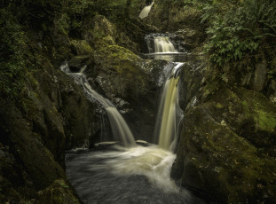 Картинка природа водопады растения камни водоем