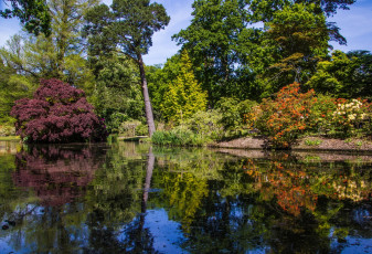 Картинка англия природа парк водоем деревья цветы
