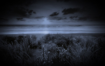 Картинка природа побережье ночь море облака