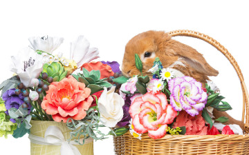 обоя животные, кролики,  зайцы, flowers, spring, цветы, eggs, кролик, happy, rabbit