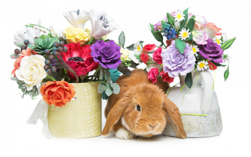 обоя животные, кролики,  зайцы, spring, eggs, кролик, happy, rabbit, flowers, цветы