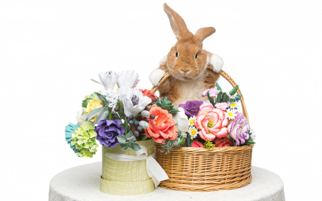 Обои картинки фото животные, кролики,  зайцы, цветы, flowers, spring, eggs, кролик, happy, rabbit