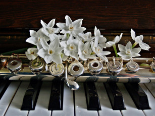 обоя музыка, -музыкальные инструменты, клавиши, пианино, цветы