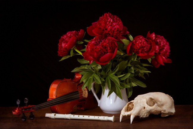 Обои картинки фото музыка, -музыкальные инструменты, дудка, скрипка, череп, цветы