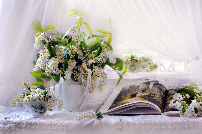 Обои картинки фото цветы, черемуха, книга, букет
