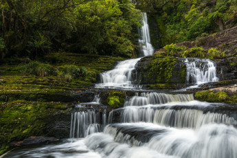 Картинка природа водопады лес водопад мох новая зеландия каскад new zealand tautuku river маклин река таутуку mclean falls