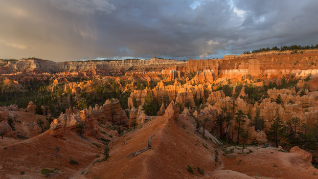 Обои картинки фото bryce canyon, utah, природа, горы, bryce, canyon