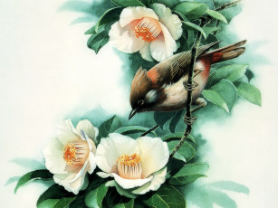 Картинка 35 рисованные животные птицы