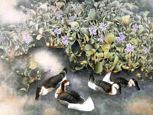 Картинка 40 рисованные животные птицы утки