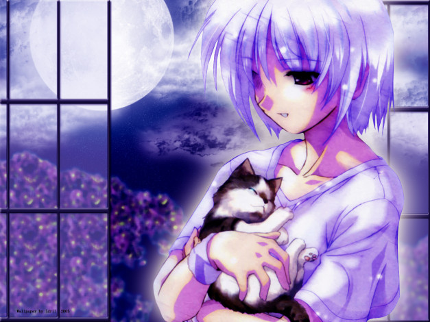 Обои картинки фото аниме, iriya, no, sora, ufo, natsu