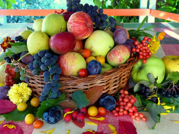 Обои картинки фото еда, фрукты, ягоды, урожай, натюрморт