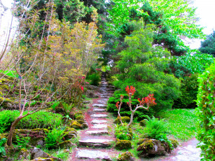 Картинка muckross house garden ireland природа парк