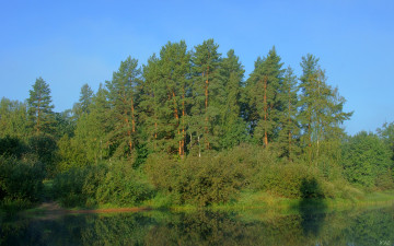 Картинка на керженце природа реки озера лес утро река