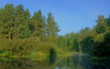 Картинка утро на керженце природа реки озера лес река