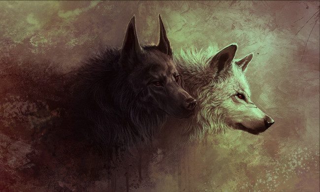 Обои картинки фото 3д, графика, animals, животные, звери, волчица, волк