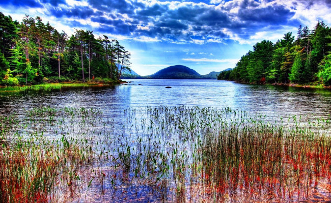 Обои картинки фото colors, of, nature, природа, реки, озера, озеро, трава, лес, горы