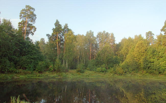 Обои картинки фото на, керженце, природа, реки, озера, лес, утро, река