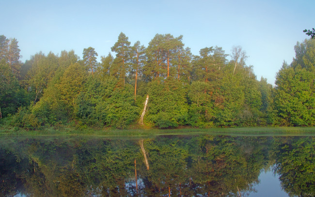 Обои картинки фото на, керженце, природа, реки, озера, лес, утро, река
