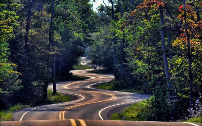 Обои картинки фото природа, дороги, извилистая, лес, дорога