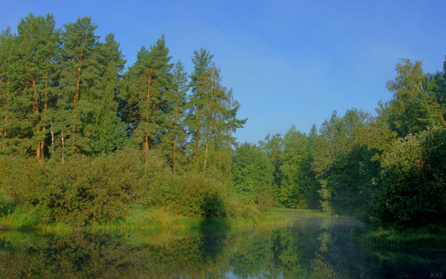 Обои картинки фото утро, на, керженце, природа, реки, озера, лес, река