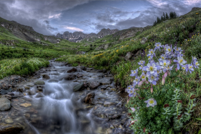 Обои картинки фото landscape, природа, реки, озера, горы, ручей, цветы