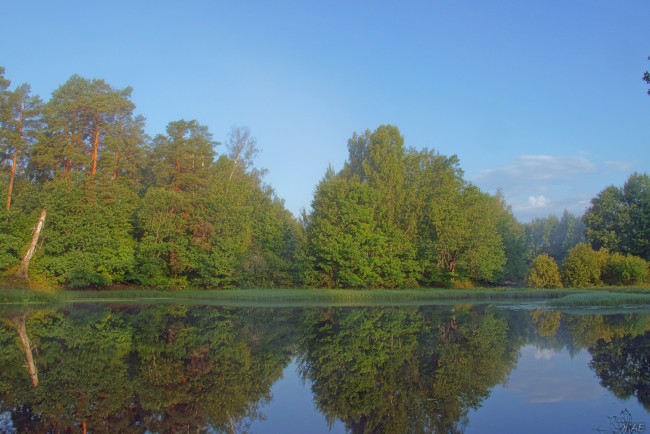 Обои картинки фото утро, на, керженце, природа, реки, озера, лес, река