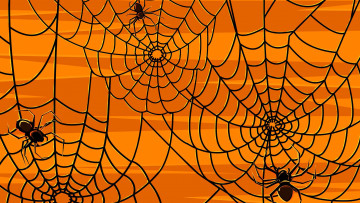 Картинка векторная+графика животные пауки паутина