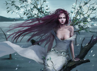 Картинка фэнтези девушки ветер плате цветущее дерево девушка арт totorrl