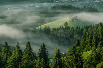 Картинка природа лес тироль эльмау alps austria tirol ellmau деревья туман утро альпы австрия