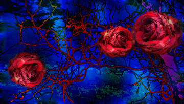 Картинка разное компьютерный+дизайн роза краски фон цветы линии