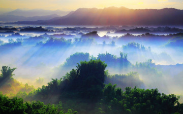 Картинка природа восходы закаты trees деревья дерево пейзаж красота лучи солнце утро day день