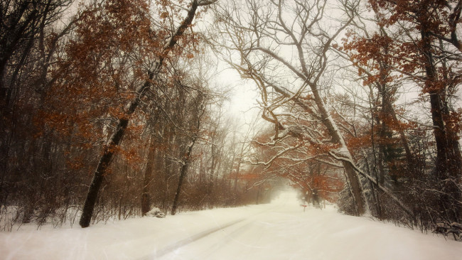 Обои картинки фото природа, зима, пейзаж, снег, дорога