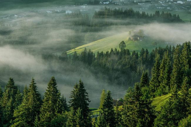 Обои картинки фото природа, лес, тироль, эльмау, alps, austria, tirol, ellmau, деревья, туман, утро, альпы, австрия