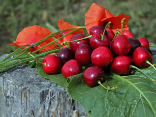 Картинка еда вишня +черешня фрукты природа красота макро лето июнь черешня